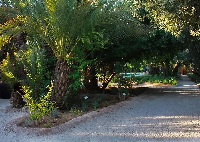 Hotel Jnane Tamsna à Marrakesh